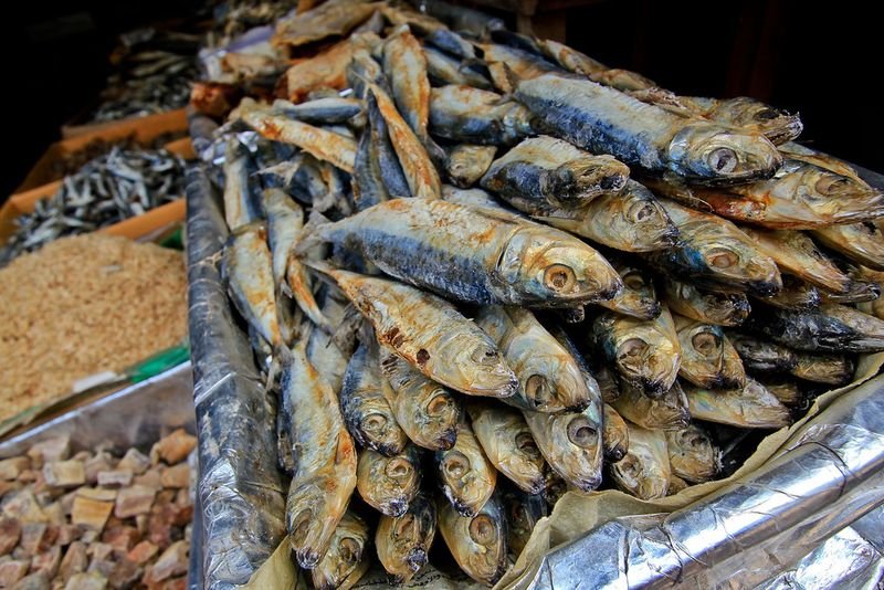 resources of Sardines Fish exporters resources of Sardines Fish exporters