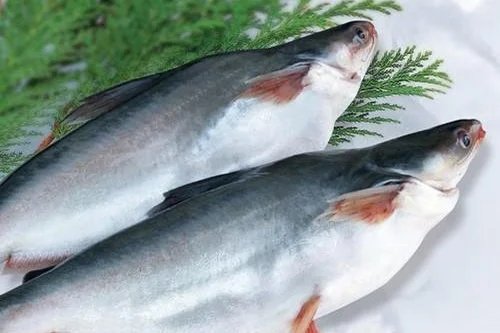 resources of Pangasius/Basa fish products such as well-trimmed fillets, untrimmed fillets, steak, HGT, butterfly, and cube exporters