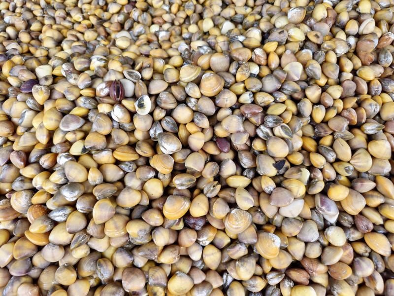 resources of Small Pebbles exporters