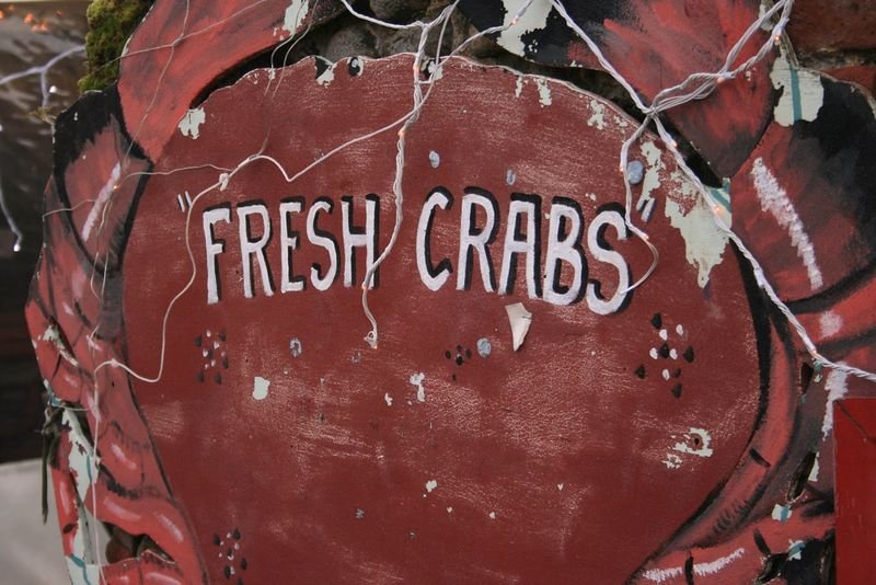 resources of Crab exporters