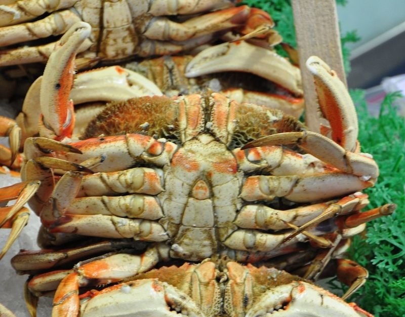 resources of 2022 Wholesale Fresh Crab / Frozen Crab exporters