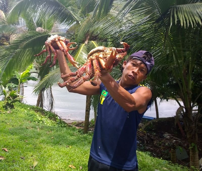 resources of Live Mud Crab exporters