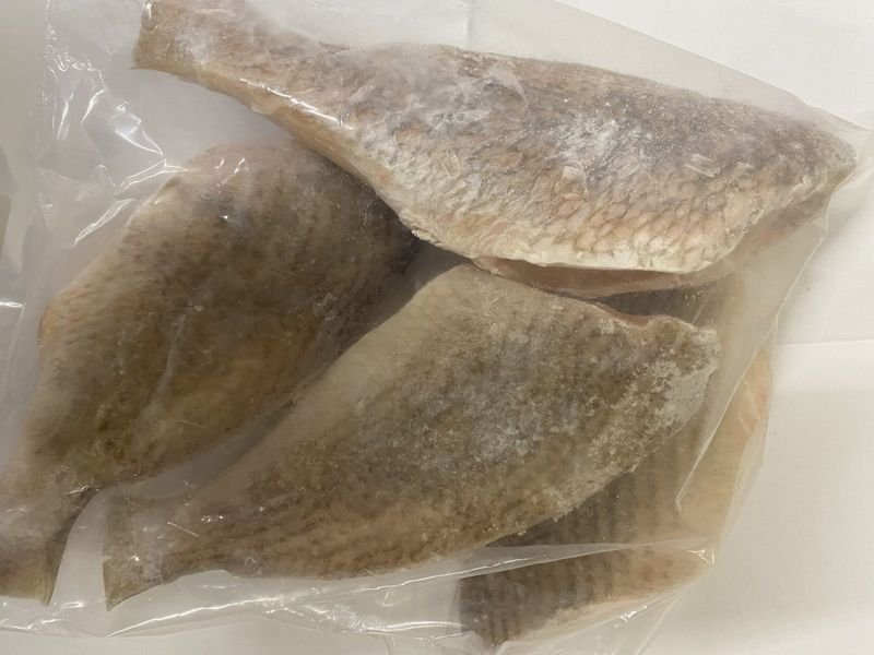 resources of Sunu Gunting (Grouper Fish) exporters
