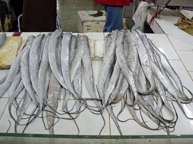 resources of Frozen Skipjack Tuna exporters