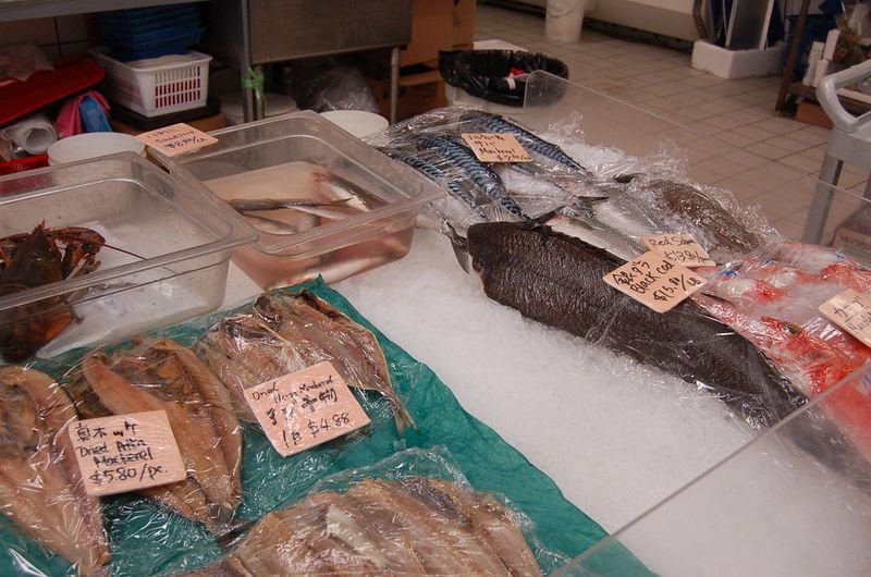 resources of Snakehead Fish Fillets exporters resources of Snakehead Fish Fillets exporters
