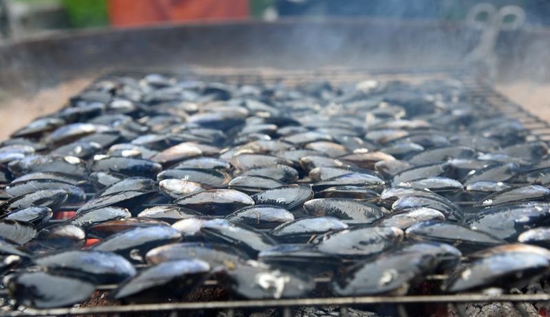 resources of Hake Fish exporters resources of Hake Fish exporters