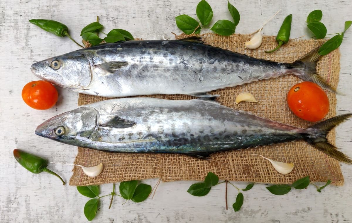 resources of Dried King Mackerel exporters