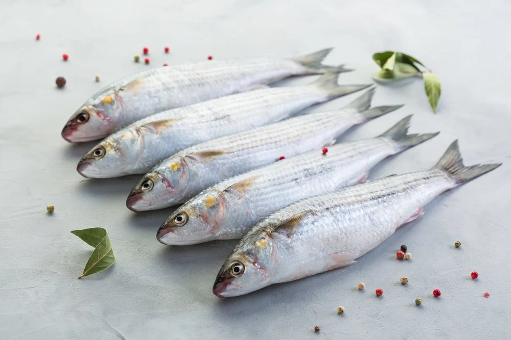 resources of Anti-aging Fish Collagen exporters
