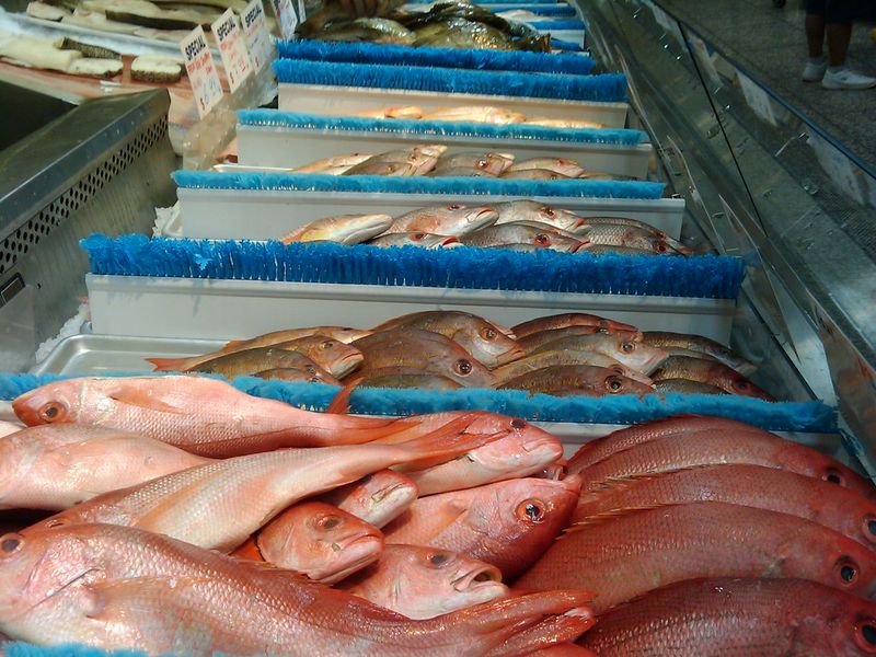 resources of Fish and fish products exporters