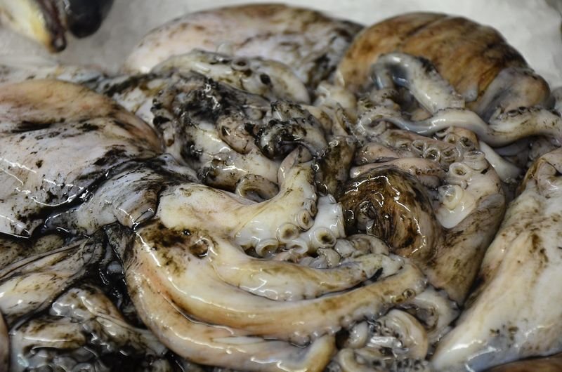 resources of Frozen Cephalopod Supplier from Vietnam exporters