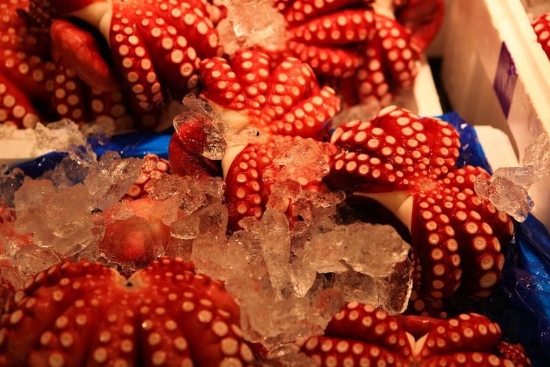resources of Frozen Dragon Red Fruit exporters resources of Frozen Dragon Red Fruit exporters
