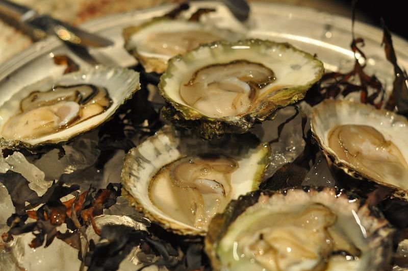 resources of Live Oysters (Ostreidae) exporters