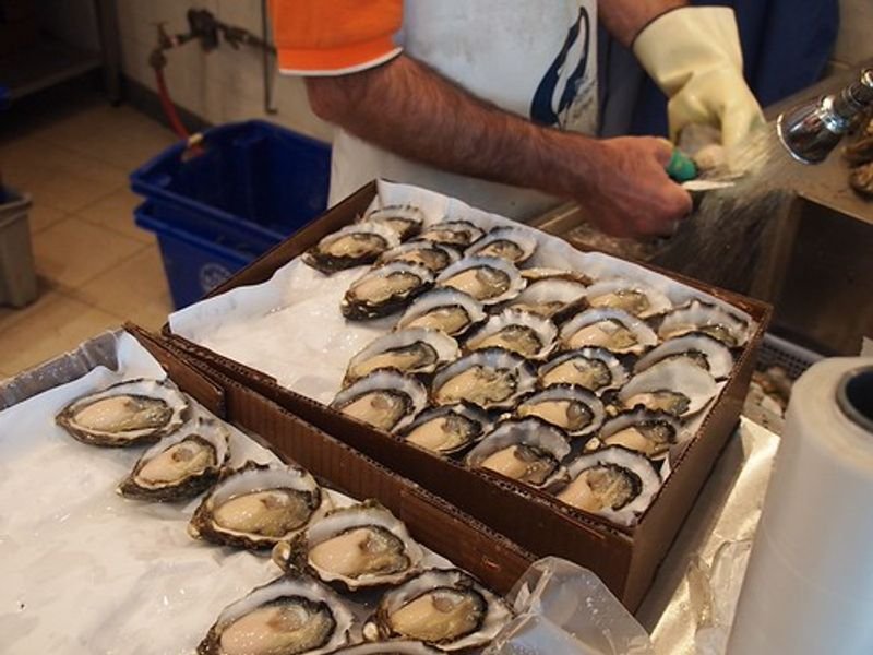 resources of Half-shell oyster exporters