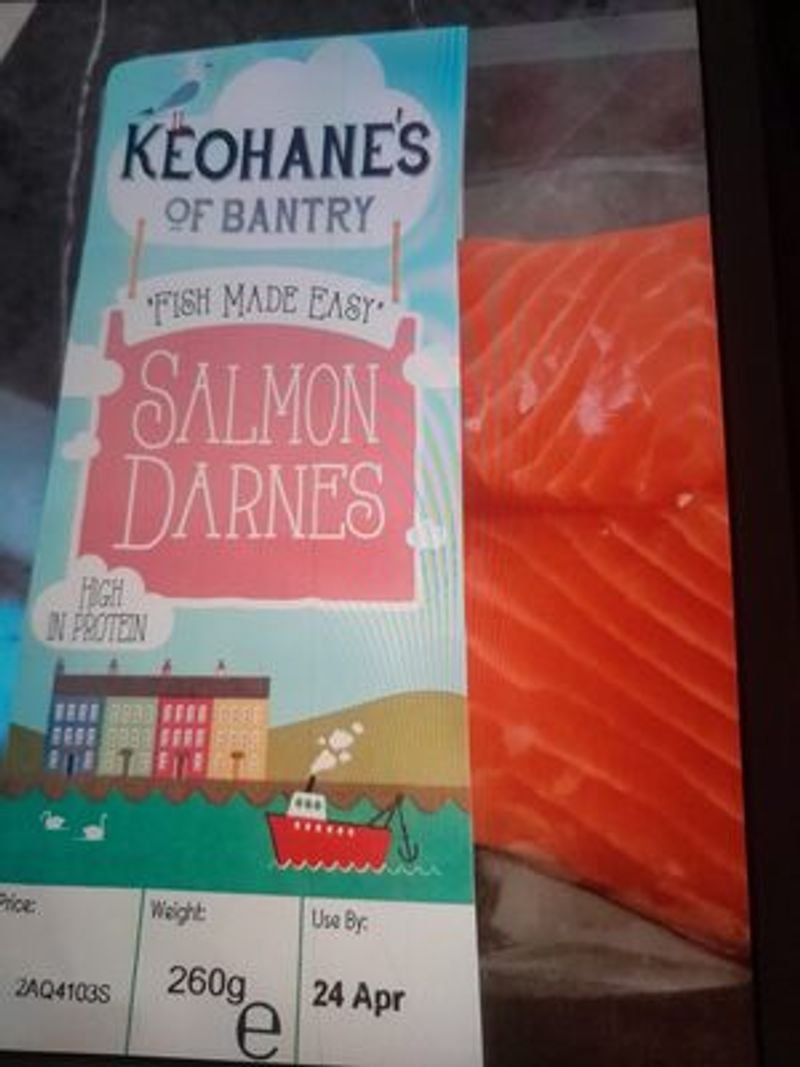resources of Champ Salmon & Rice 10 kg and 20 kg exporters