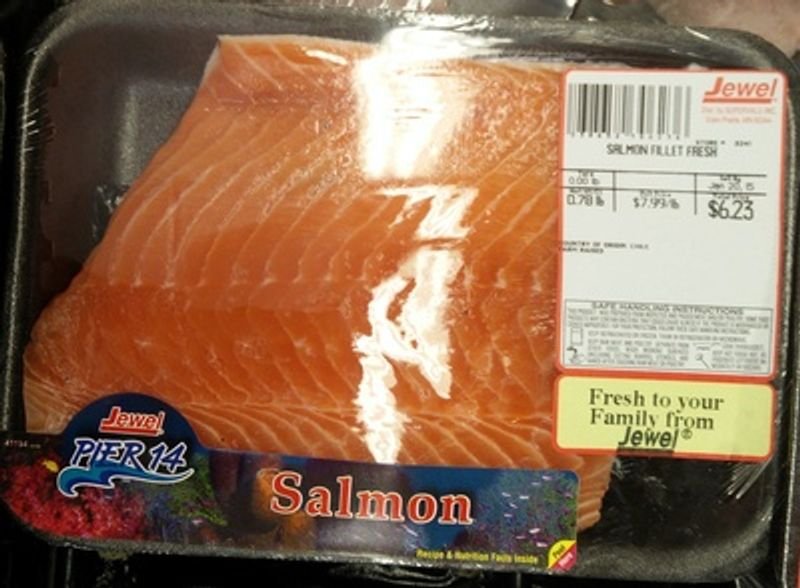 resources of Salmon Belly exporters
