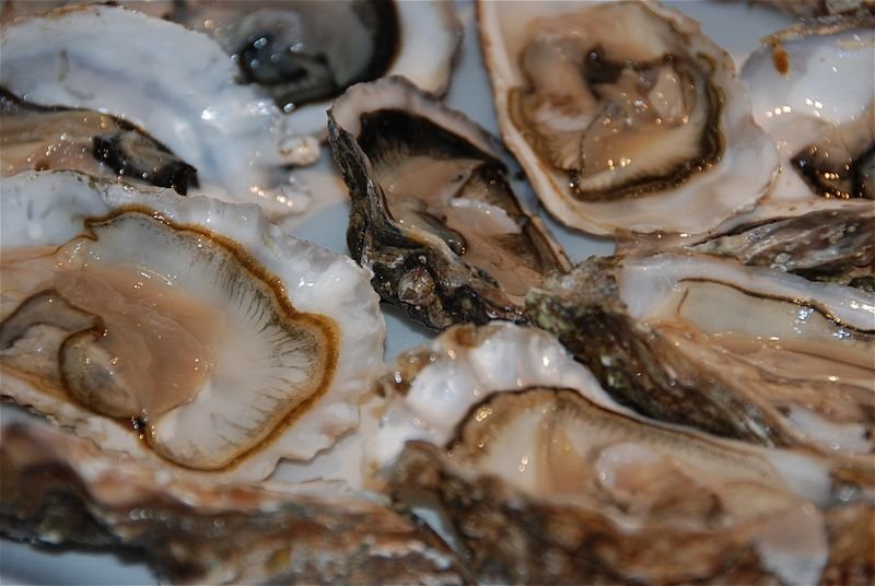 resources of Limpets exporters