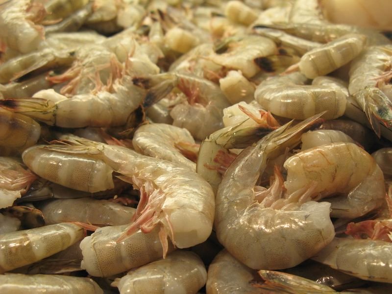 resources of Frozen Iqf Shrimps exporters