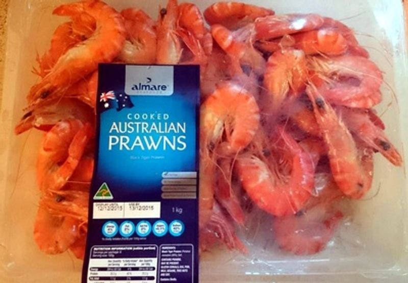 resources of Pink Brown Shrimp exporters