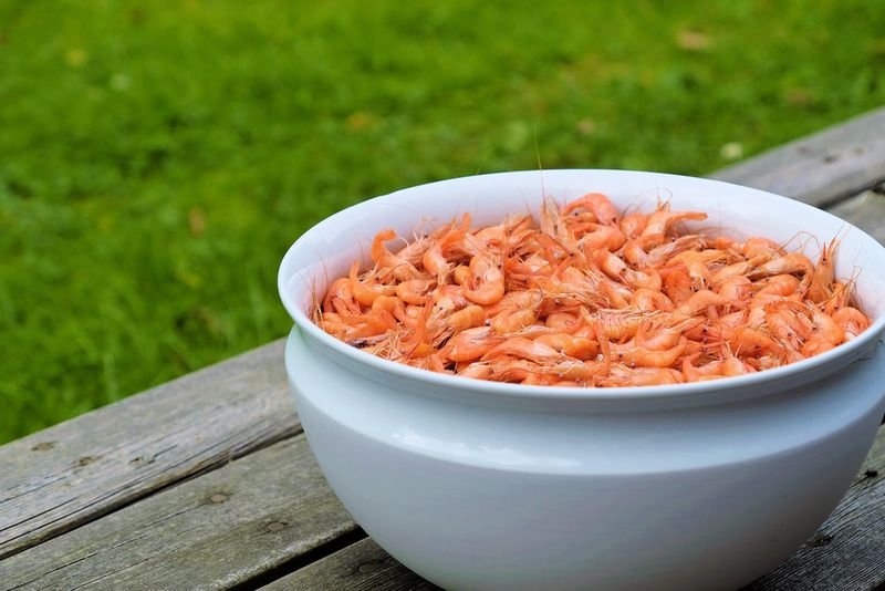 resources of Dried Baby Shrimp exporters