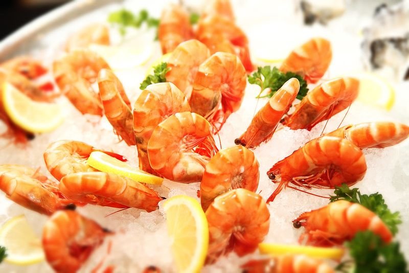resources of Frozen Pud Deep Sea Shrimps exporters