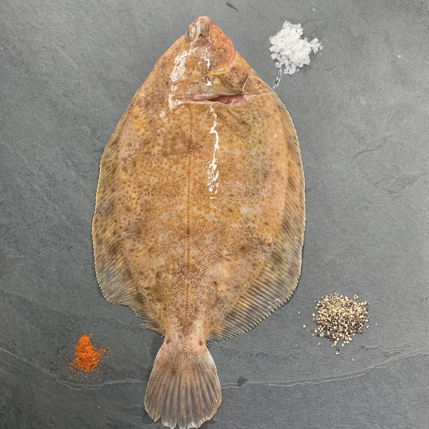 resources of Skate Whole Round (Dipturus Chilensis) exporters