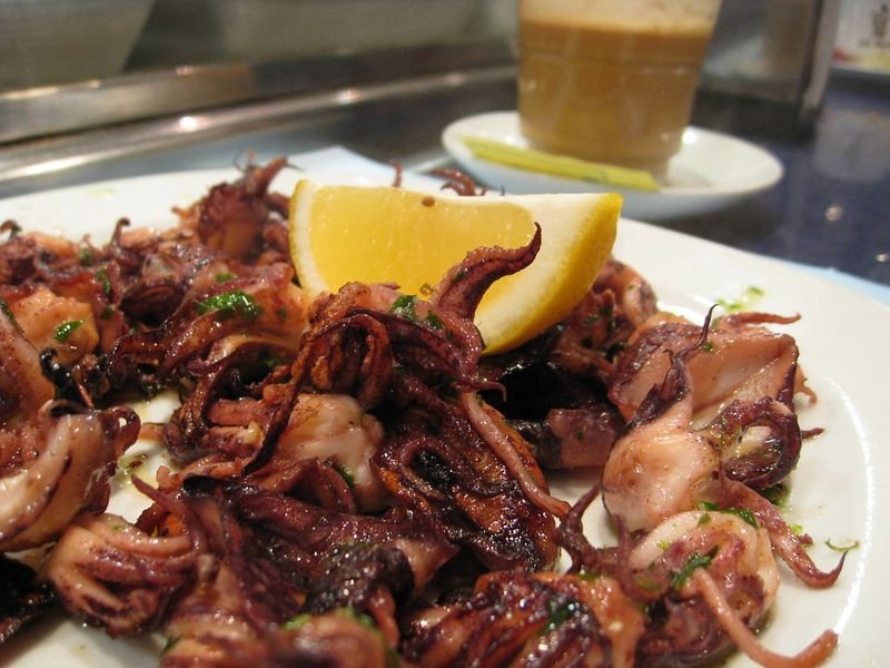 resources of Squid body exporters