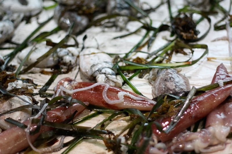 resources of Salmon Carcass Scraped exporters