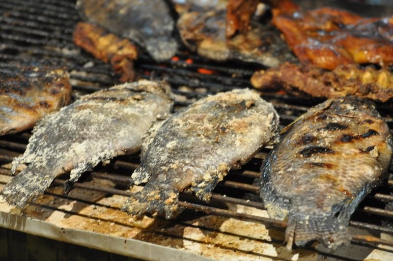 resources of King fish steaks exporters