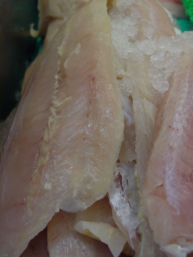 resources of Tilapia Fish exporters