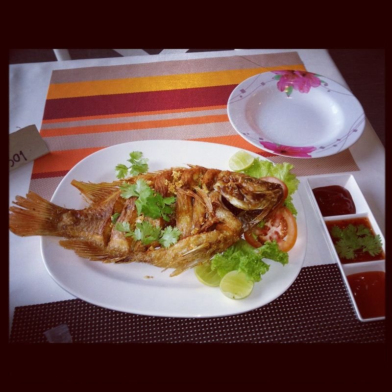 resources of Fish plate exporters