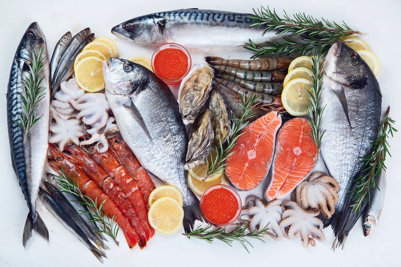 resources of Seafood exporters