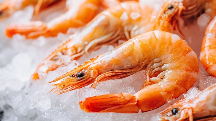 resources of Seafood fish, shrimps exporters