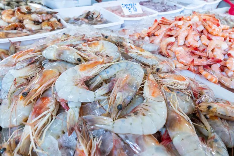 resources of Sea food fish, shrimps exporters
