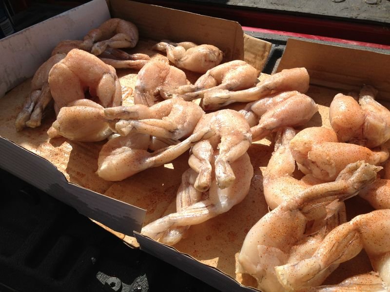 resources of Frozen Clean Catfish exporters