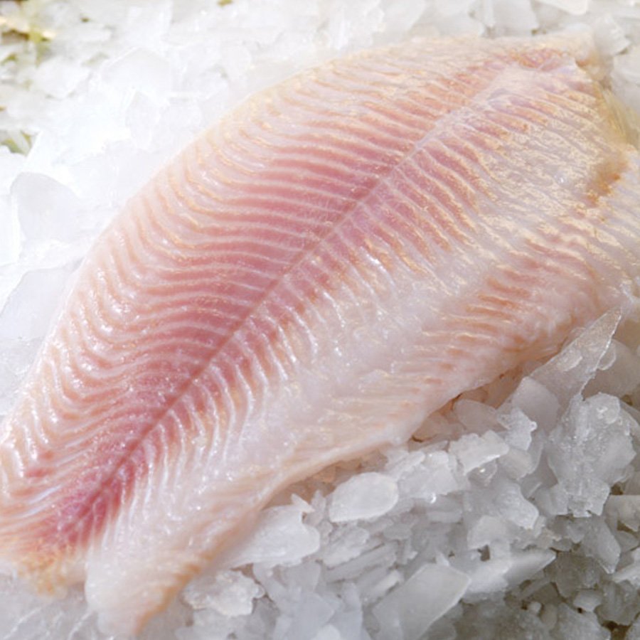 resources of frozen tilapia exporters