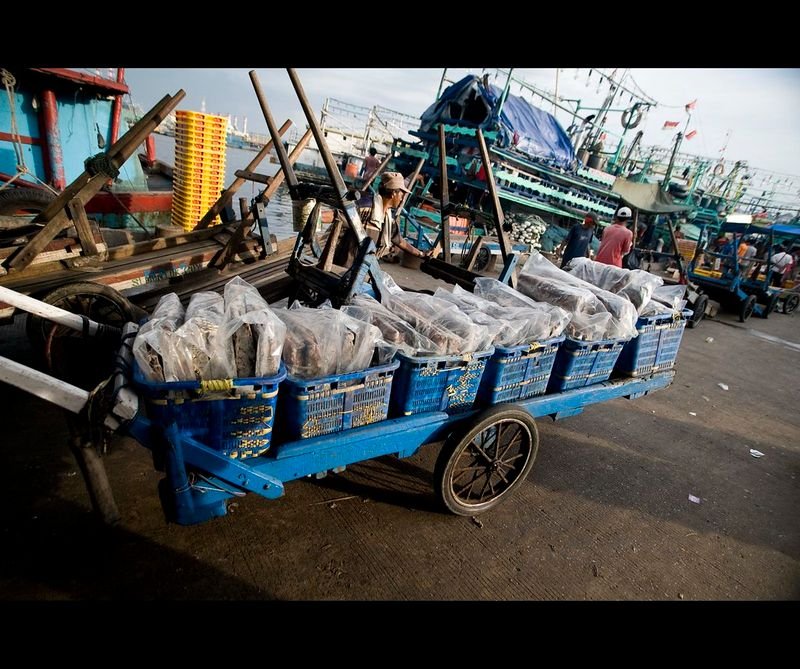 resources of Weihai kumyang fishing tackle exporters
