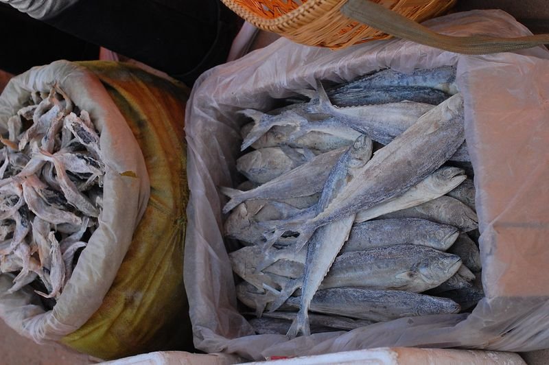 resources of Frozen fish exporters