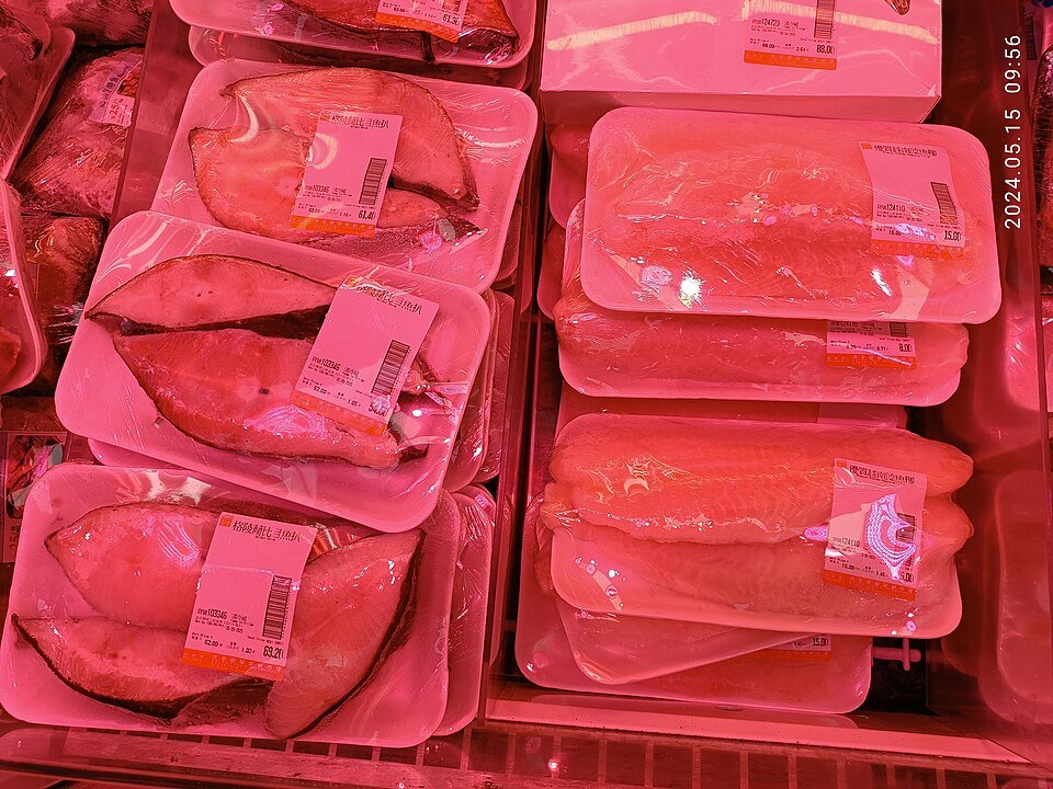 resources of Frozen Spanish Mackerel (King Fish) exporters