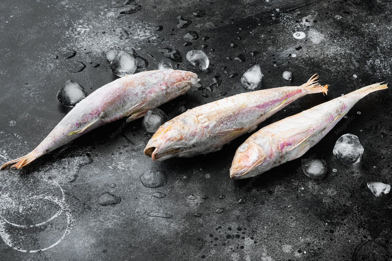 resources of Frozen Fish exporters