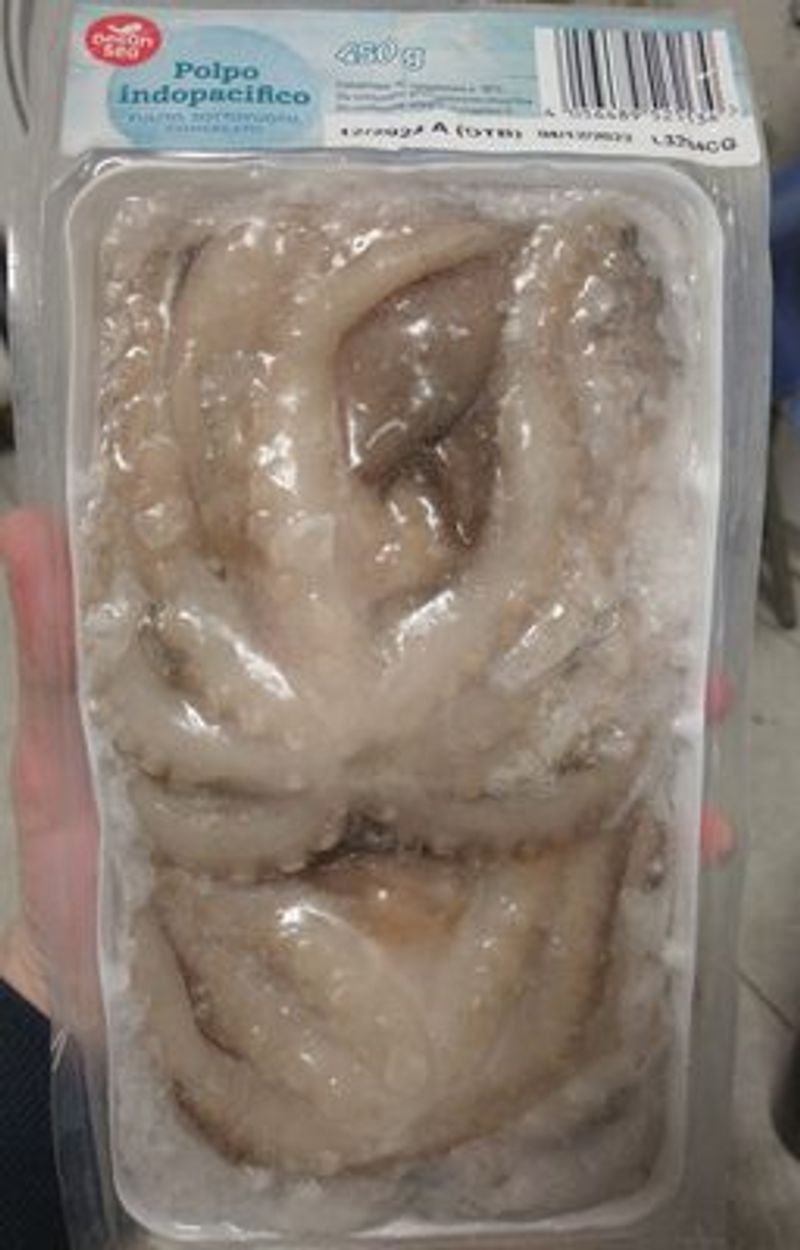 resources of Frozen Octopus exporters