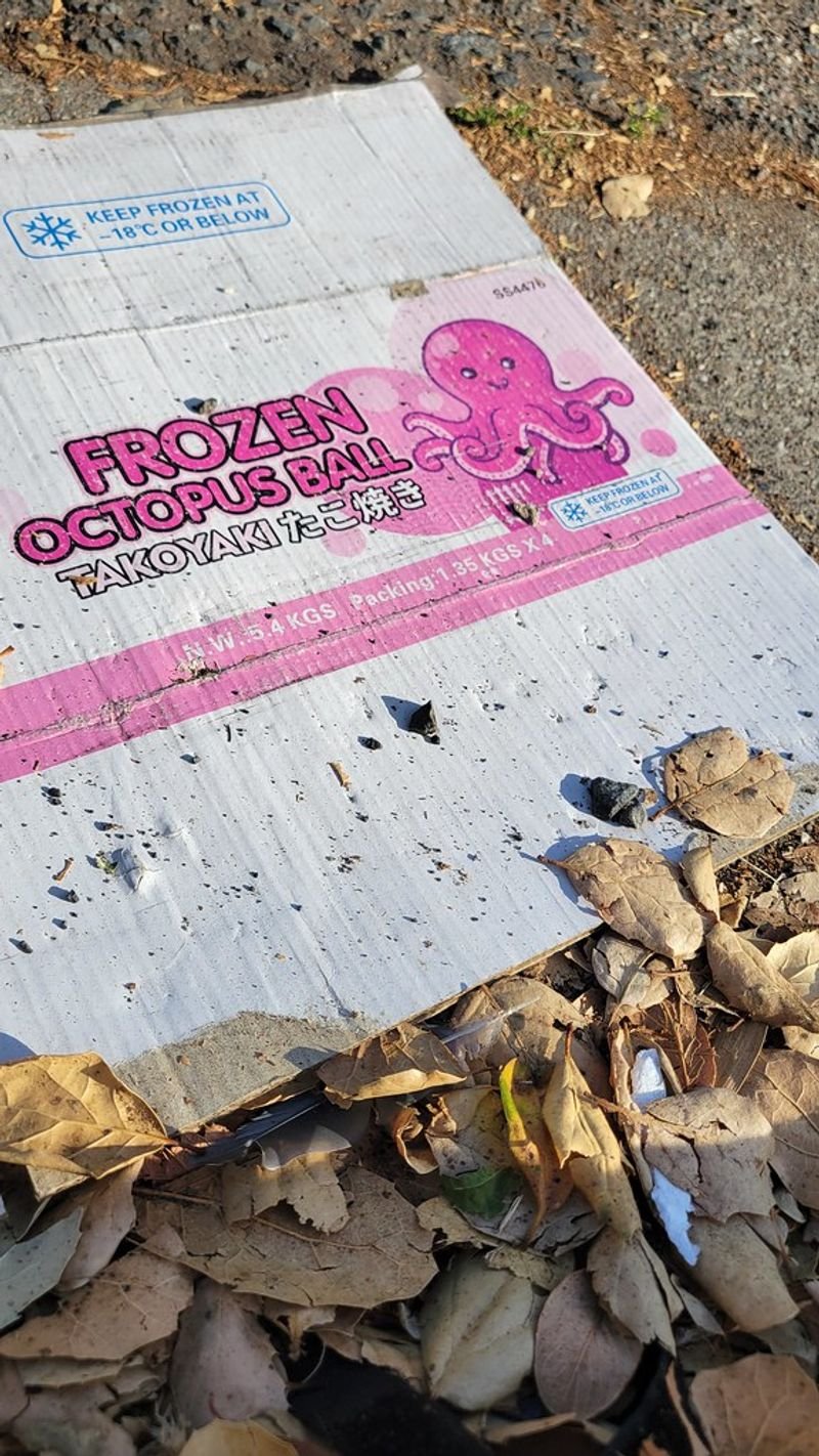 resources of Frozen Cut Baby Octopus exporters