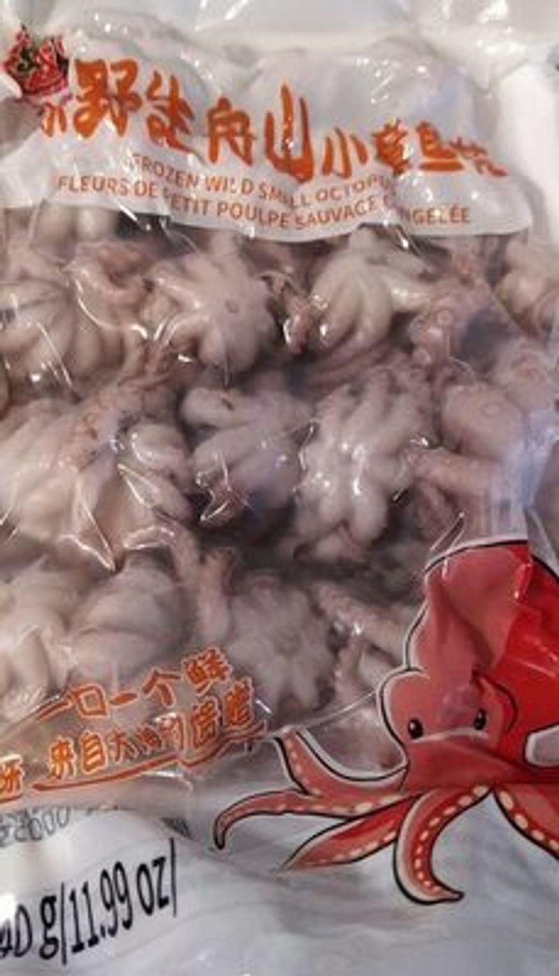 resources of Baby octopus exporters resources of Baby octopus exporters