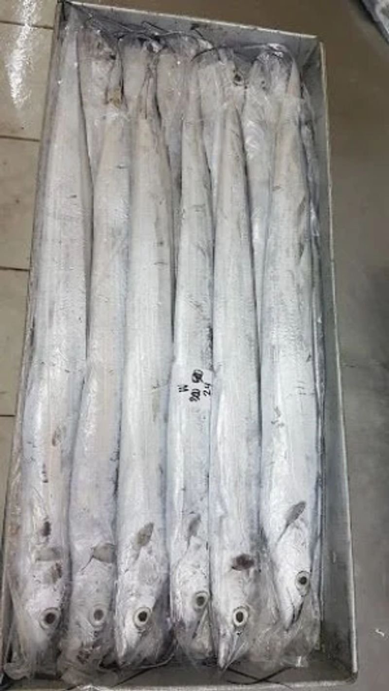 resources of PU Primer White Fire Retardant Wood Paint exporters