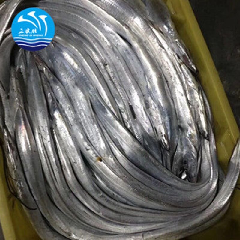 resources of Frozen River Anchovy Fish exporters