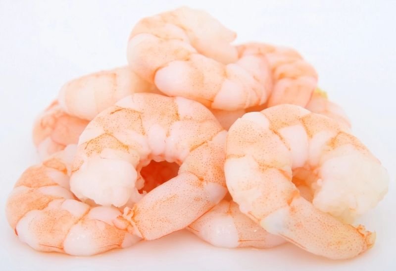resources of shrimp exporters
