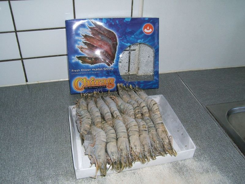 resources of Sea water black tiger prawns exporters resources of Sea water black tiger prawns exporters