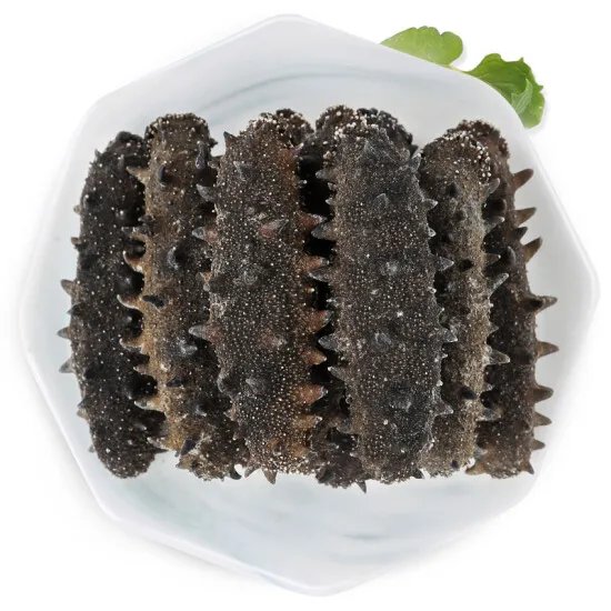 resources of Sea cucumber exporters
