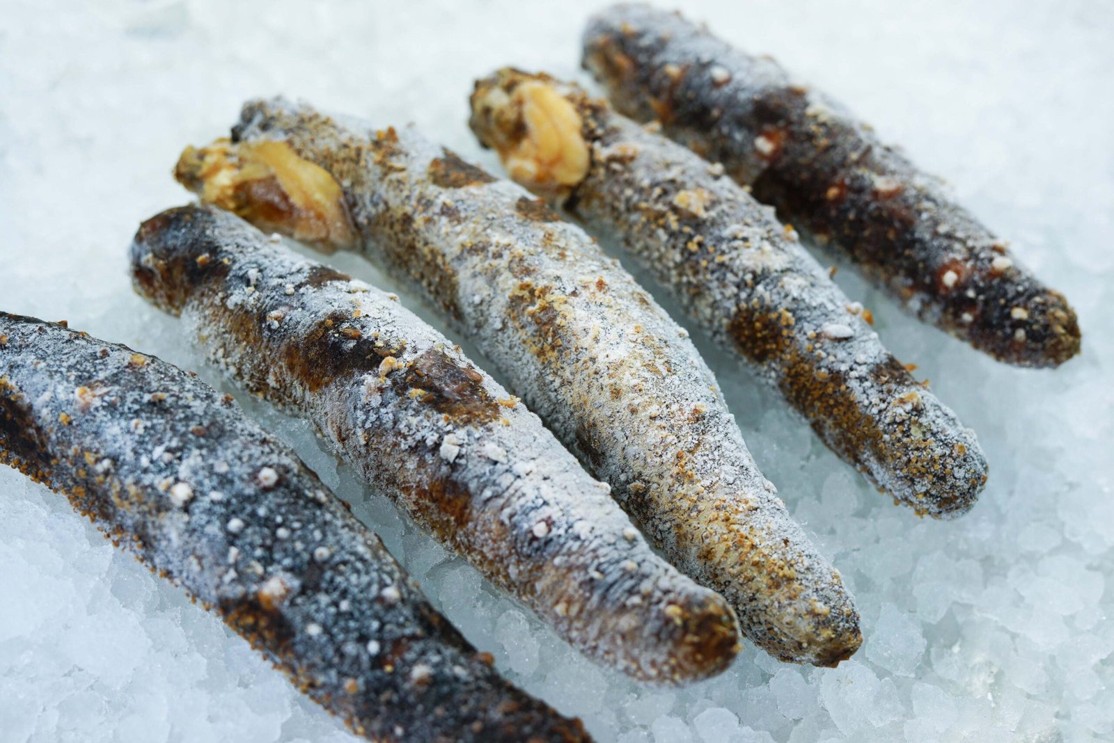 resources of Fried and Breaded Baltic Sardines 300g exporters