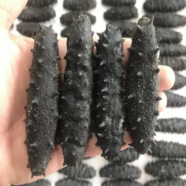 resources of Dried Black Jelly Grass/grass Jelly Leaves exporters