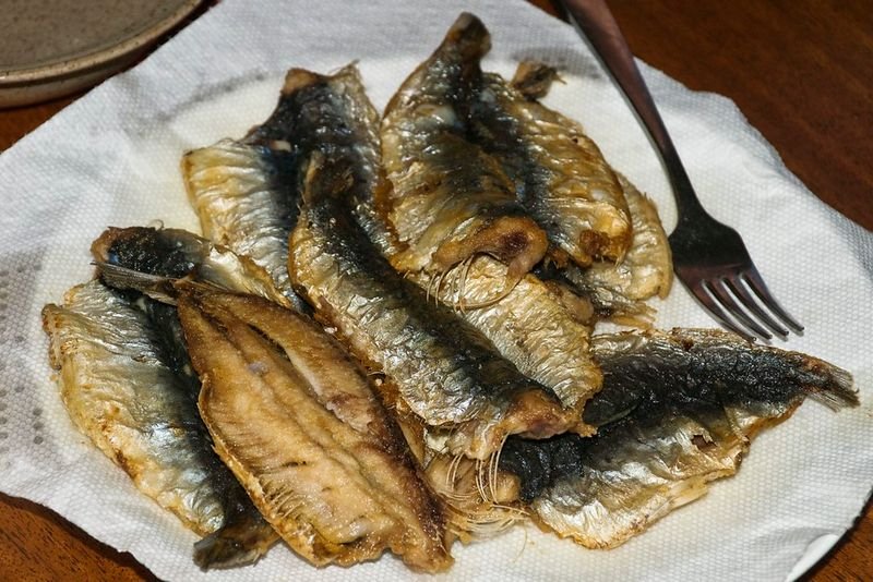 resources of Frozen Yellowtail from Korea waters exporters